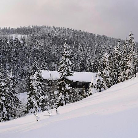 Apartment In Haidmuehle With Balcony Or Terrace Екстериор снимка