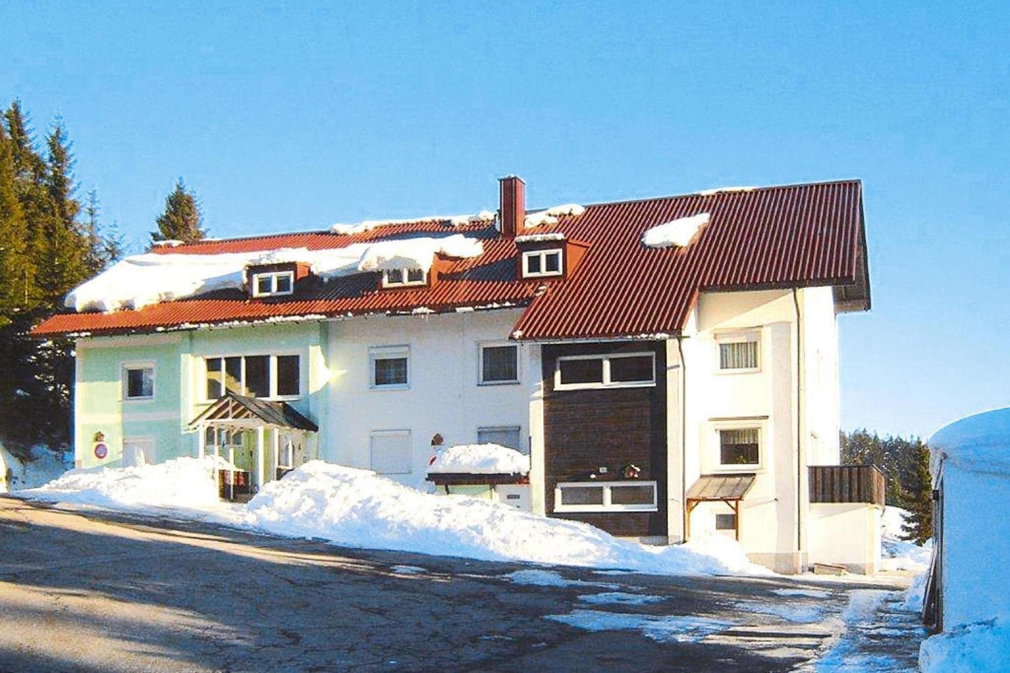 Apartment In Haidmuehle With Balcony Or Terrace Екстериор снимка